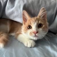 Photo of Momo