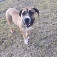 Photo of Archer Tamblyn