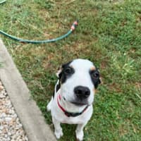 Photo of Esmae (P14)