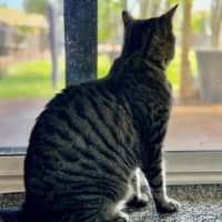 Photo of Kizzie