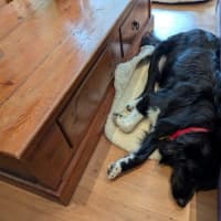 Photo of Finn Quinell