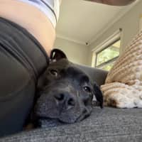 Photo of George Costanza