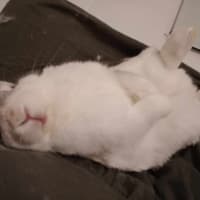 Photo of Adorable Piotr