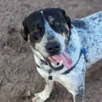 Photo of Dora