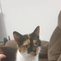 Photo of Queen Mimmi