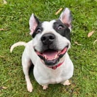 Photo of Biggie Smallz