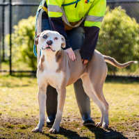 Photo of Wanda Imp 1577 