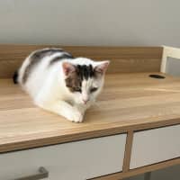 Photo of Hazel