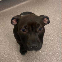 Photo of Coco