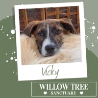 Photo of Vicky