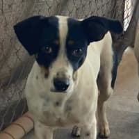 Photo of Hallie