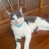 Photo of C1318 Micky