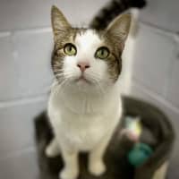 Photo of Mable