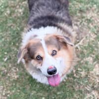 Photo of Duke
