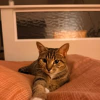 Photo of Sally