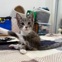 Photo of Bobbi