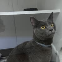 Photo of Micah (0005)