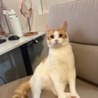 Photo of Clive