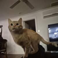Photo of Wilma