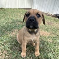 Photo of Maggie