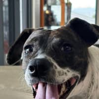 Photo of Billie Jean