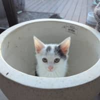 Photo of Mellie Baby