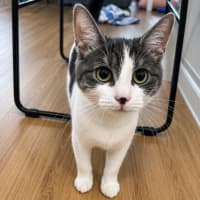 Photo of Squeal