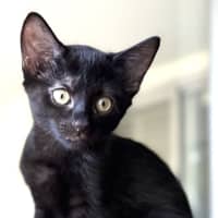 Photo of Bertha
