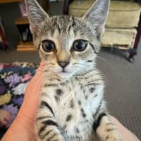 Photo of Evie