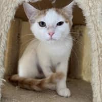 Photo of Gracie