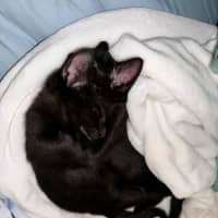 Photo of Quinoa And Sandwich