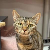 Photo of Nora