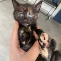 Photo of Molly