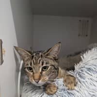 Photo of Louie