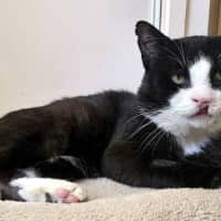 Photo of Alfonze Sta015011