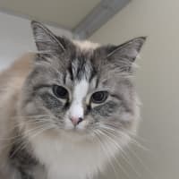 Photo of 🥂 Kiki 6409 🥂