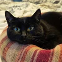 Photo of Mitzy Quinnell