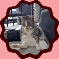 Photo of 💜 Totto 💜