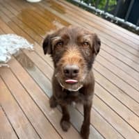 Photo of Bingo