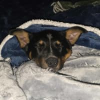 Photo of Brian 