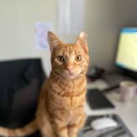 Photo of Ched & Ritz