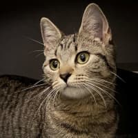 Photo of Lucy