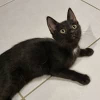 Photo of Gaia