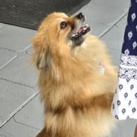 Photo of Coco