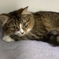 Photo of Chichy