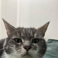 Photo of Anakin