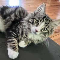 Photo of Jasper
