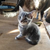 Photo of Minni Mouse