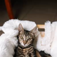 Photo of Trujillo (Trudy)