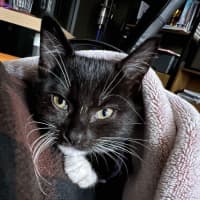 Photo of 🌸Lola🌸